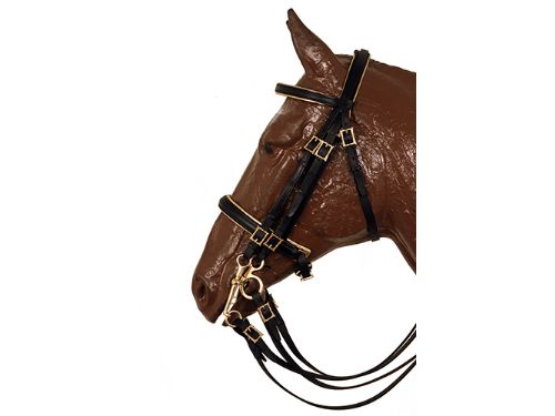 Double Portuguese Buckle Bridle